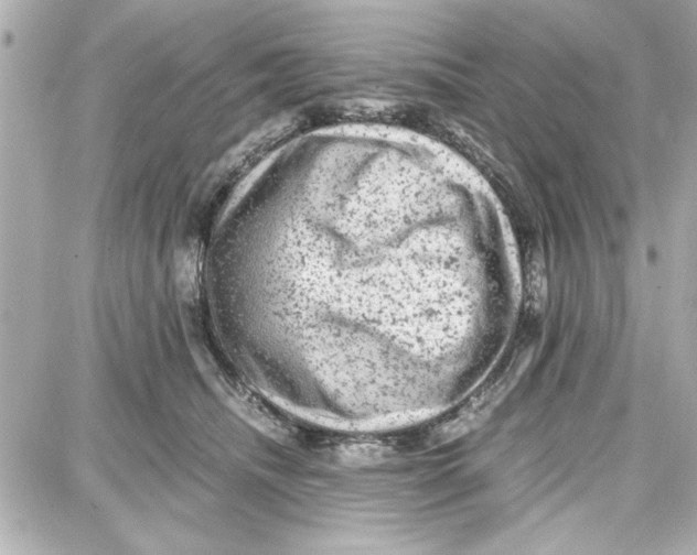 X0000087670468200705251623