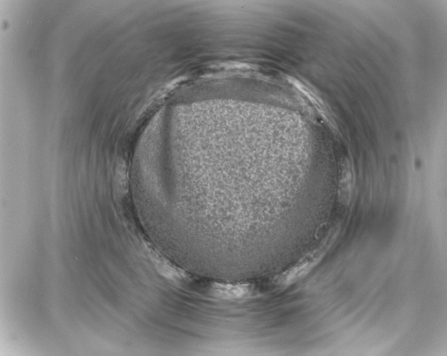 X0000087670469200705251623