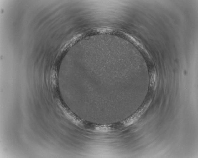 X0000087670470200705251623