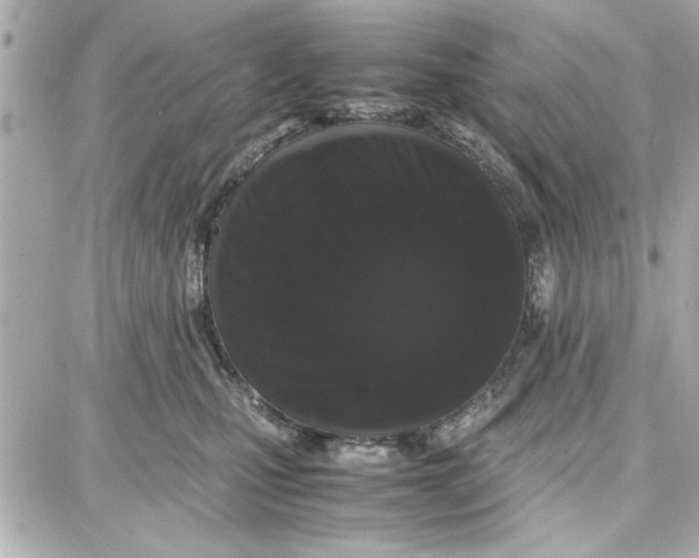 X0000087670471200705251623