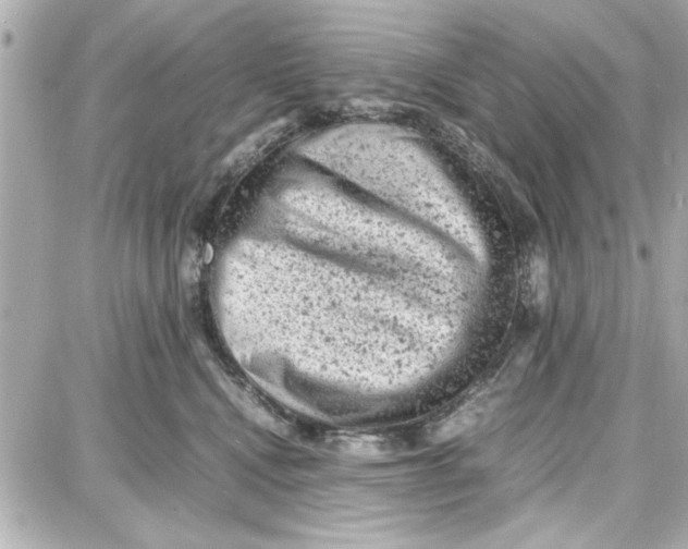 X0000087670472200705251623