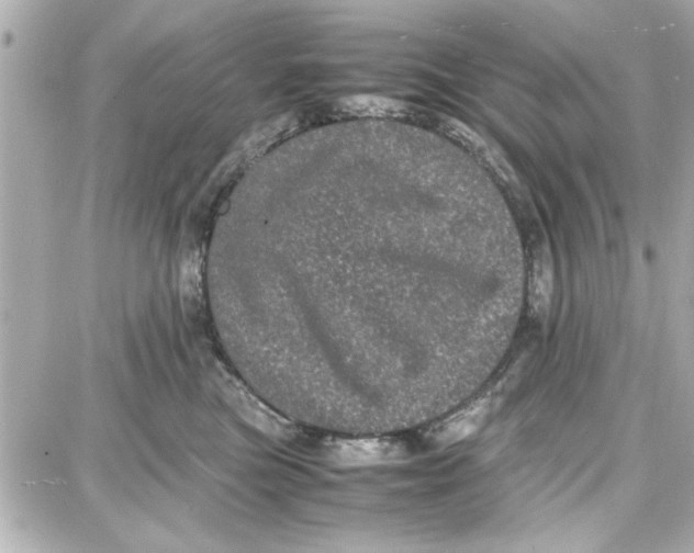 X0000087670473200705251623