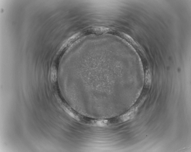 X0000087670474200705251623