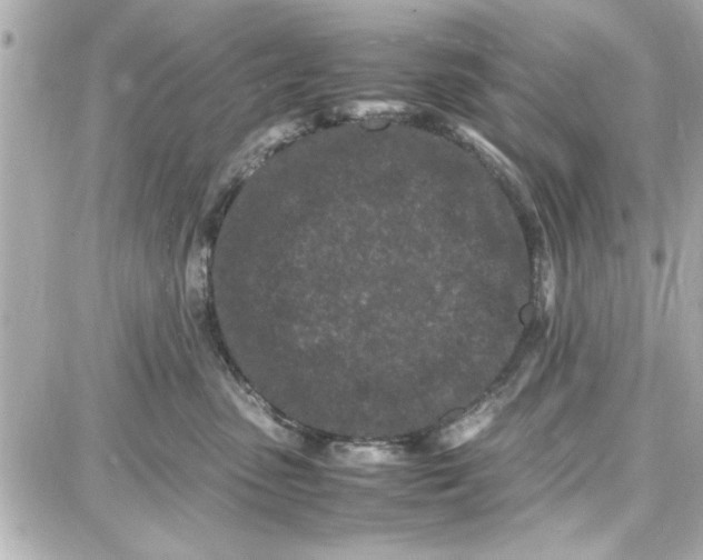 X0000087670475200705251623