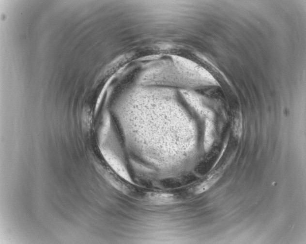 X0000087670476200705251623