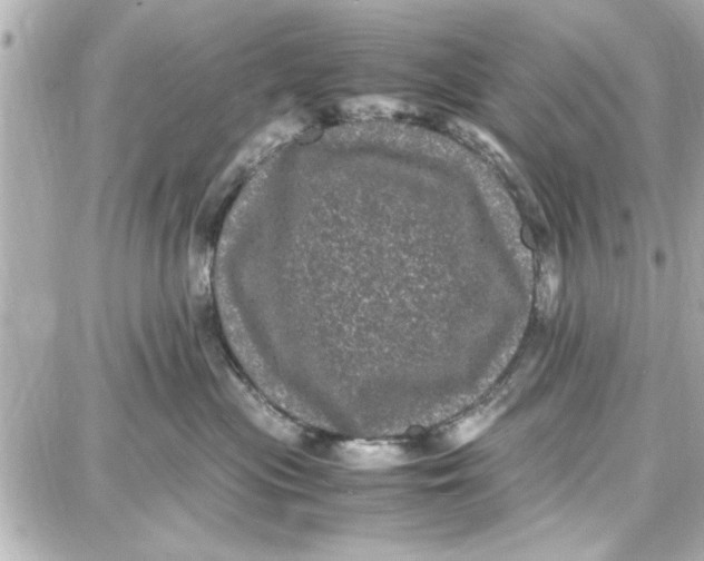 X0000087670477200705251623