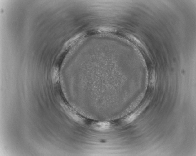 X0000087670478200705251623