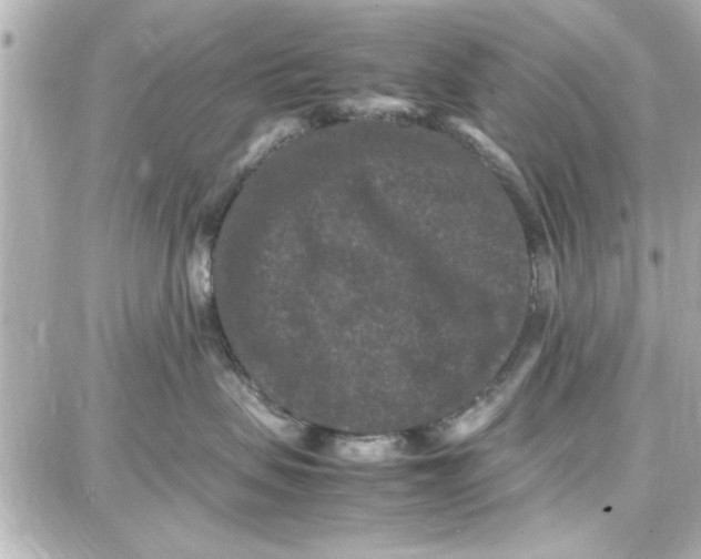 X0000087670479200705251623