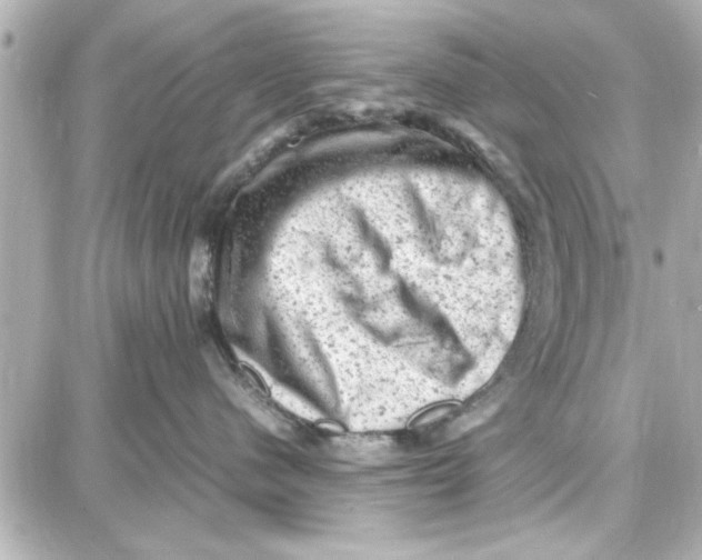 X0000087670480200705251623