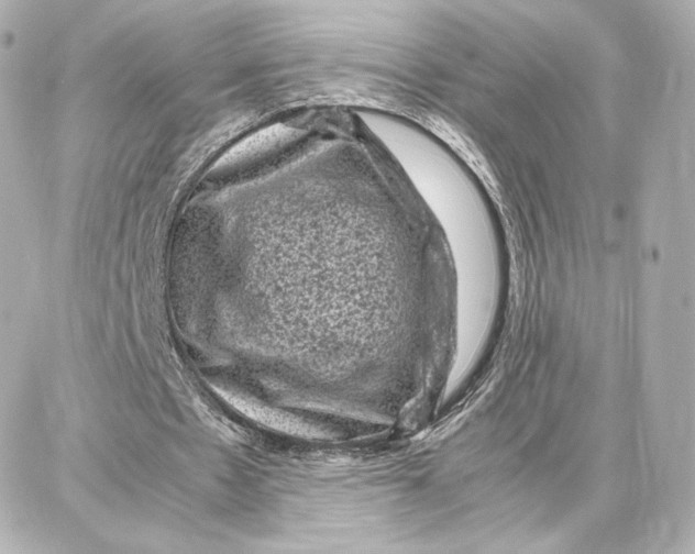 X0000087670481200705251623