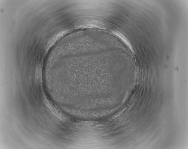 X0000087670482200705251623