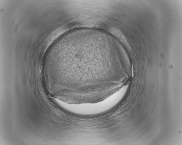 X0000087670483200705251622