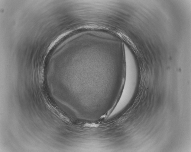 X0000087670484200705251622