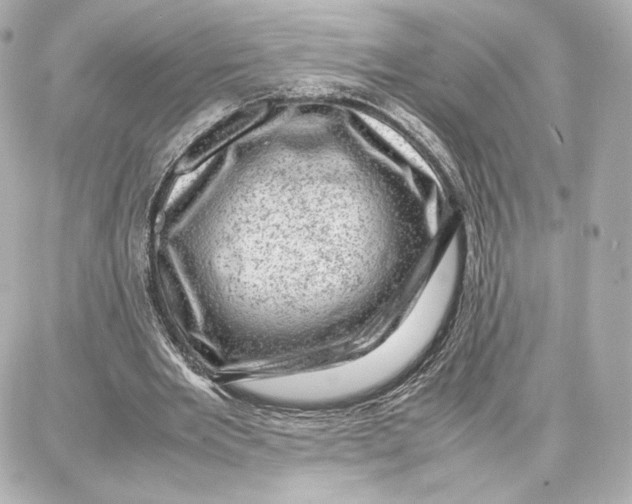 X0000087670485200705251622