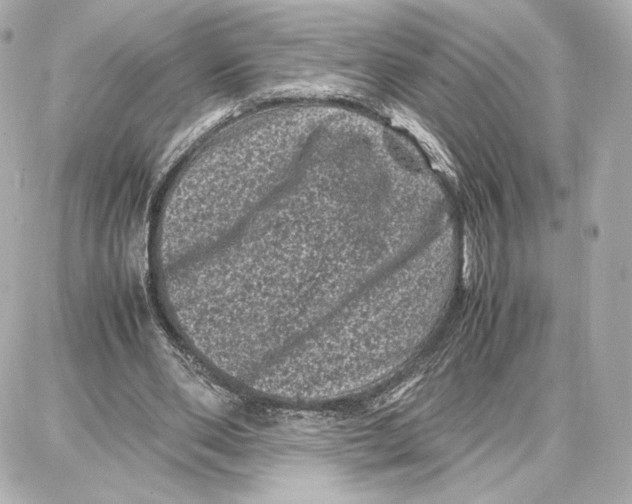 X0000087670486200705251622