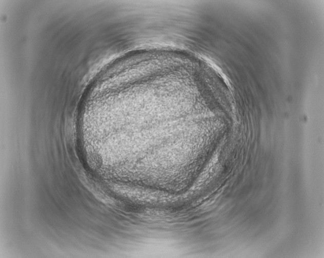 X0000087670487200705251622