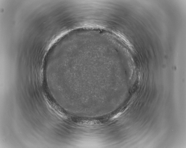 X0000087670488200705251622