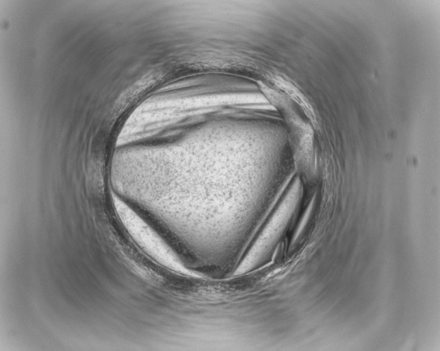 X0000087670489200705251622