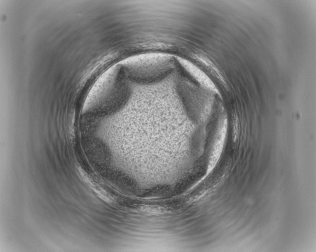 X0000087670490200705251622