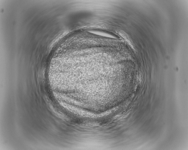 X0000087670491200705251622