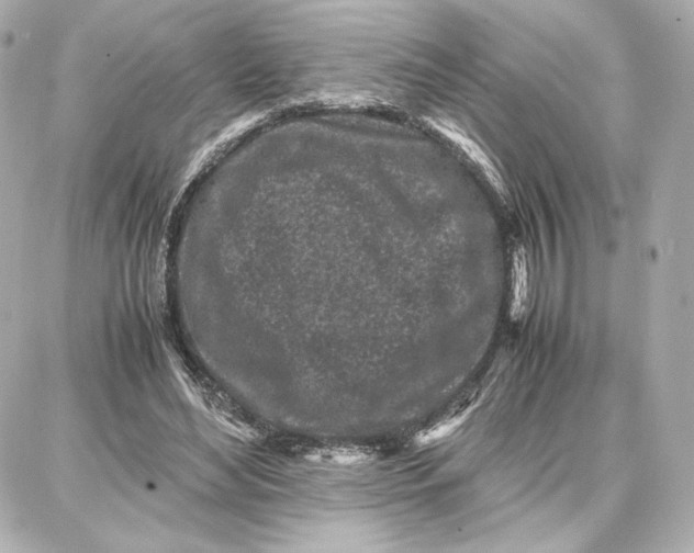 X0000087670492200705251622