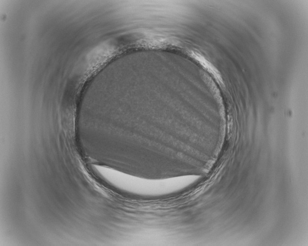 X0000087670493200705251622