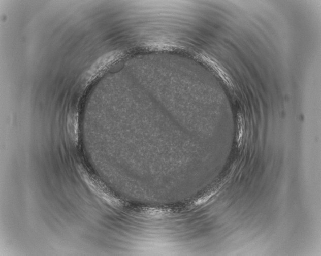 X0000087670494200705251622