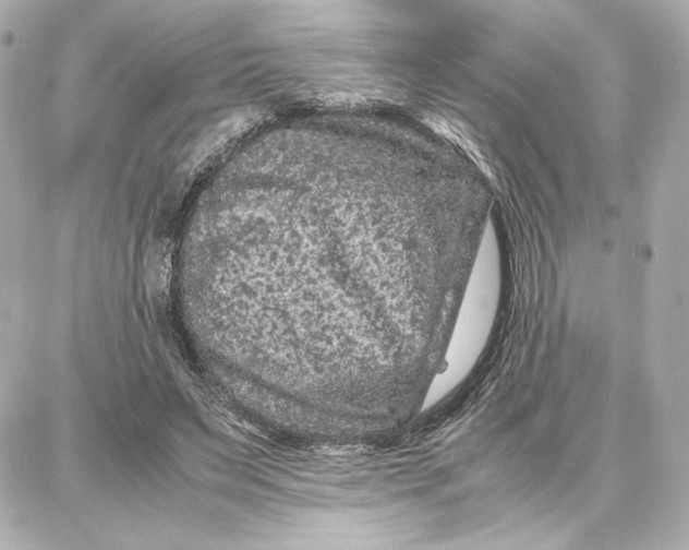 X0000087670495200705251622