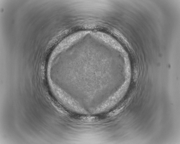 X0000087670497200705251622