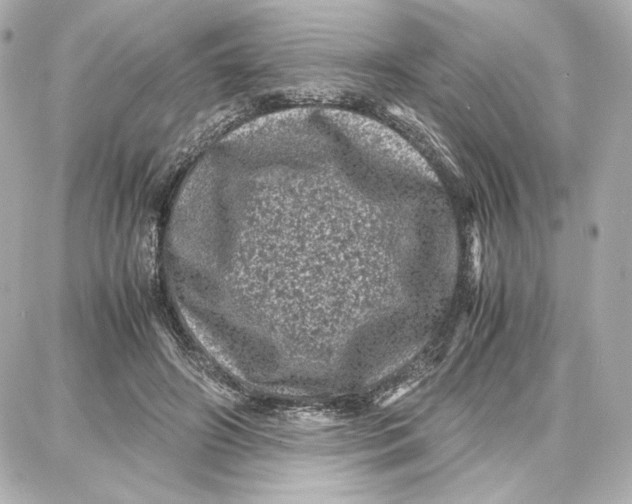 X0000087670498200705251622