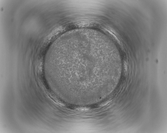 X0000087670499200705251622