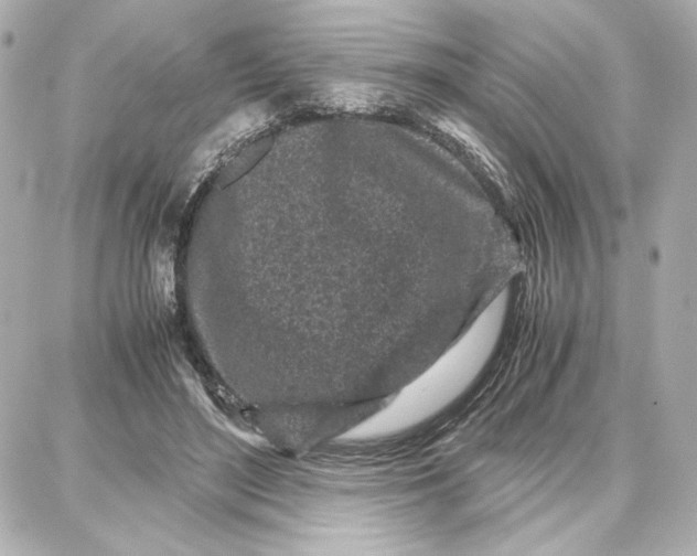 X0000087670500200705251622