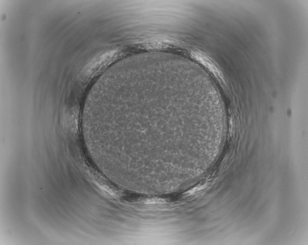 X0000087670501200705251622