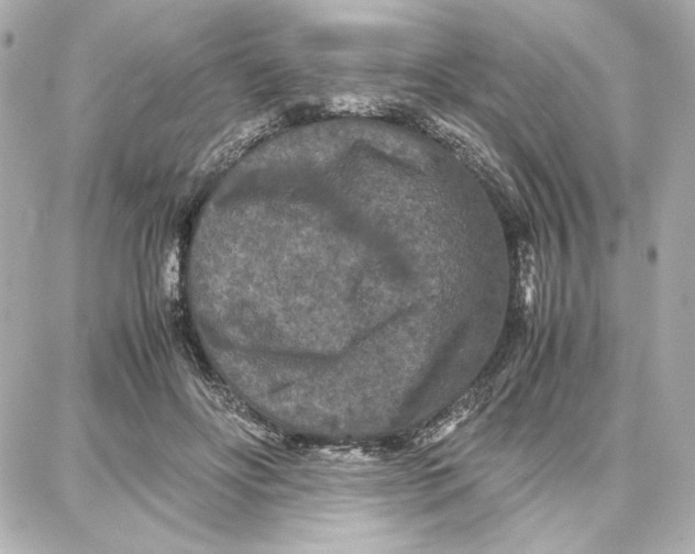 X0000087670502200705251622