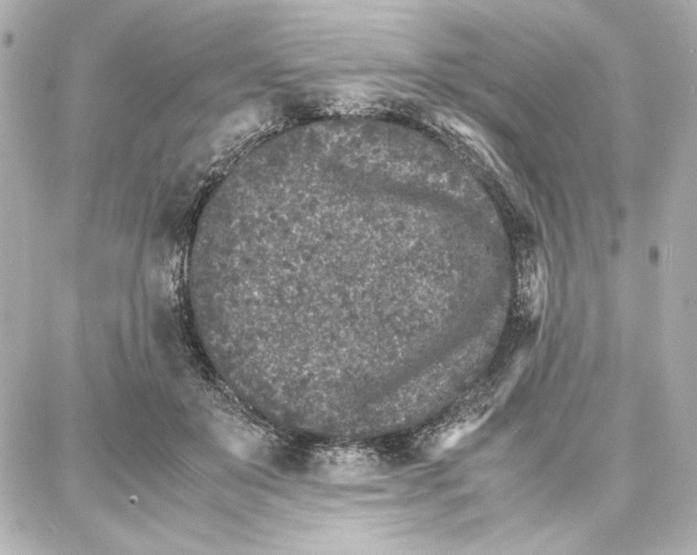 X0000087670503200705251622