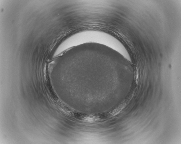 X0000087670504200705251622