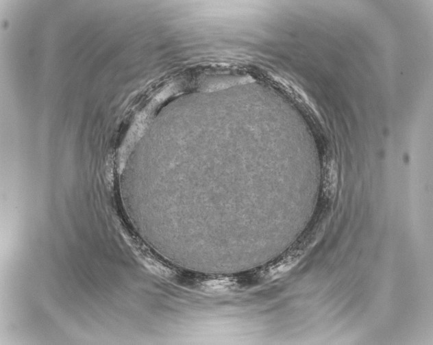 X0000087670505200705251622