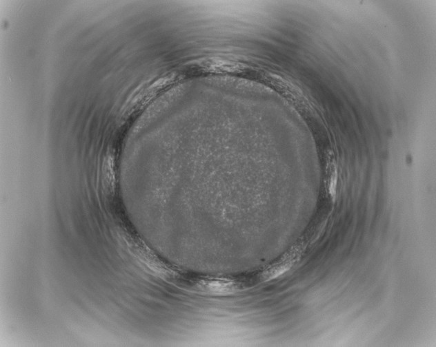 X0000087670506200705251622