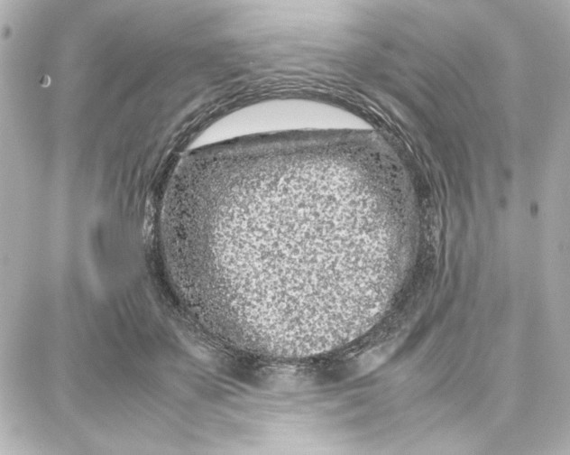 X0000087670507200705251622