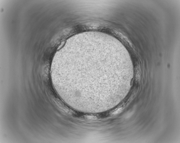 X0000087670509200705251622