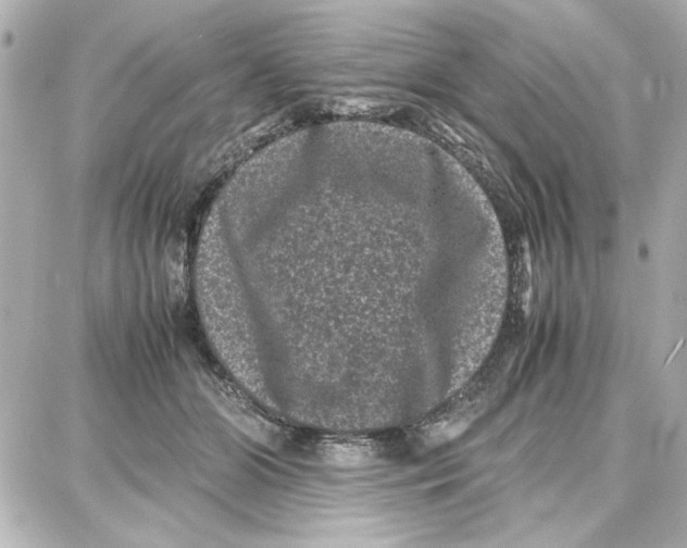 X0000087670510200705251622