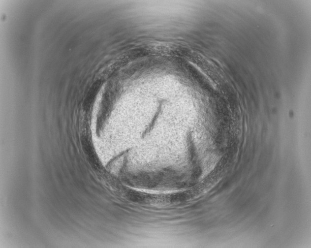 X0000087670511200705251622