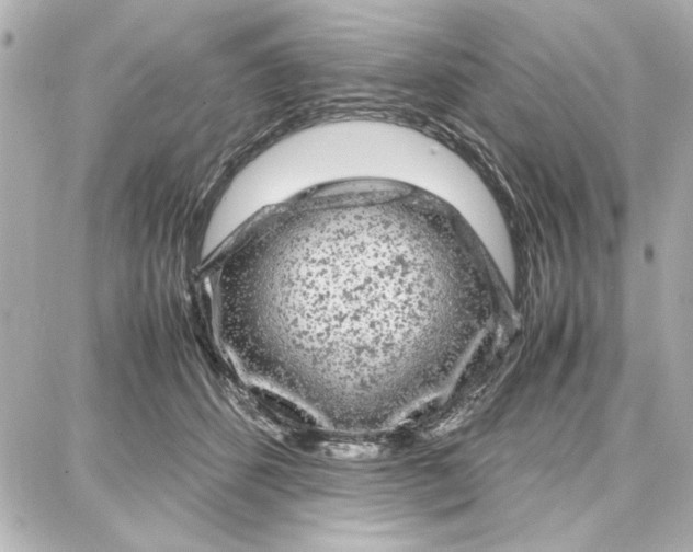 X0000087670512200705251622