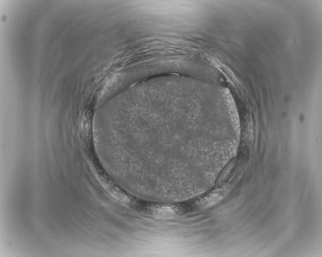 X0000087670513200705251622