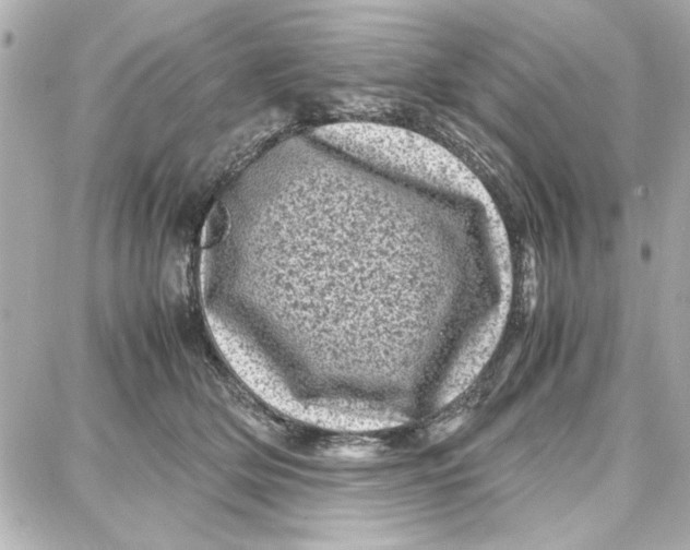 X0000087670514200705251622