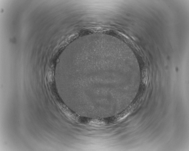 X0000087670515200705251622