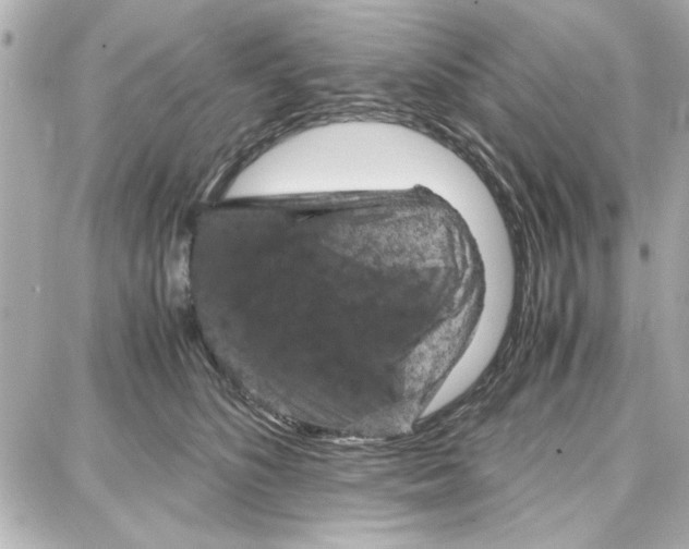 X0000087670516200705251622