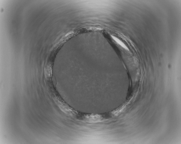 X0000087670517200705251622