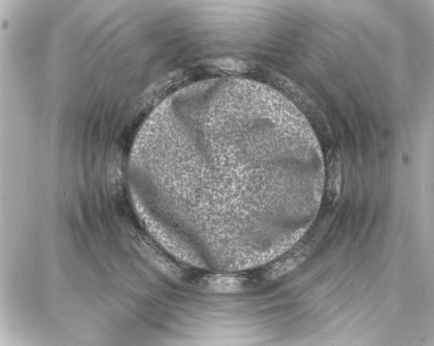 X0000087670518200705251622