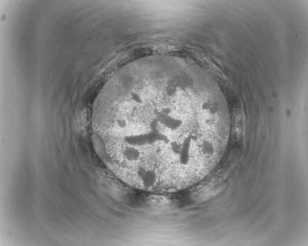 X0000087670519200705251622